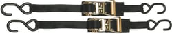 Picture of Boatbuckle F14209 Ratchet Transom Tie-Down 1" x 3.5' 2-Pack
