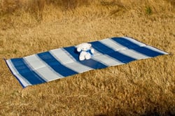 Picture of Camco 42871 Outdoor Mat 6ft x 9ft Blue Stripe Reversible RV Camping Patio