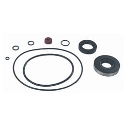 Picture of Sierra 18-2631 Lower Unit Seal Kit for Chrysler/Force Outboard Motors