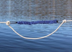 Picture of Davis Instruments 2410 Shockles 20" Line Snubber