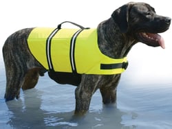 Picture of Fido Pet Products 1100 Neon Yellow Dog Life Jacket XXS