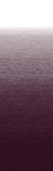 Picture of Dometic B3314989NV414 Universal Replacement Awning Fabric, 14', Maroon
