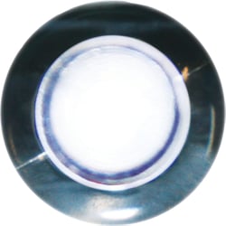 Picture of SeaSense 50030003 White LED Frosted Livewell Light