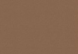 Picture of Powerwinch JG184G4GMP Carefree Replacement Awning Vinyl Fabric 18' Wood Pattern