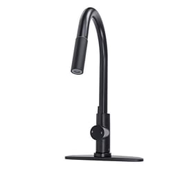 Picture of American Brass SL4000BMTA Single Handle RV Kitchen Faucet with Pull-Down Sprayer Black Matte
