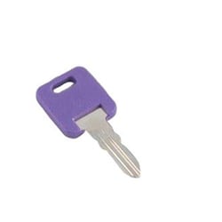 Picture of AP 013690387 Global Replacement Key Code 387 for RV Door Locks