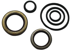 Picture of Sierra 18-8355 Marine Crankshaft Seal Kit