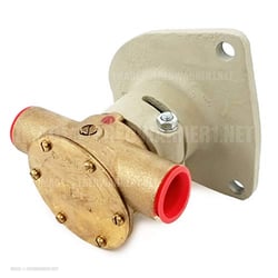 Picture of Johnson Pumps 10241405 F5B-9 Flexible Impeller Pump OEM Flange Mount