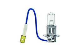 Picture of Hella H3 Standard Halogen Replacement Bulb