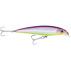 Picture of Rapala SXR10PRCH X-Rap Saltwater 4" Suspending Jerkbait Purple Chartreuse
