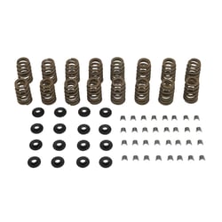 Picture of Quicksilver 8M0120862 Valve Spring Kit for 357 CT Circle Track Iron Heads