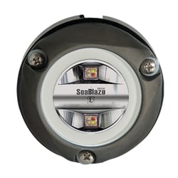 Picture of Lumitec 101833 Zambezi Mini RGBW Spectrum Underwater LED Light