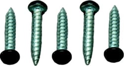 Picture of AP 012-PSQ500BL 8 X 1 Pan Head Square Recess Screw
