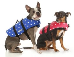 Picture of Seachoice DV-S-86280 Dog Life Vest Small Blue Polka Dot