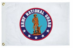 Picture of Taylor Made 5627 Army National Guard Military Flag 12" x 18" Nylon