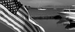 Picture of Taylor Made 2020109154 US Bass Flag 36x60 Marine Grade