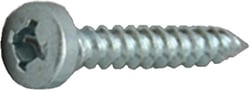 Picture of AP 012-PSQ50CO 8 X 1 Pan Head Square Recess Screw Colonial White 50 Pack