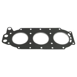 Picture of Sierra 18-2960 Marine Head Gasket for Johnson/Evinrude Outboard