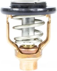 Picture of Sierra 18-3636 Thermostat Kit for Yamaha Outboard Engines