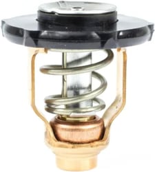 Picture of Sierra 18-3641 Thermostat Kit for Yamaha Outboard Engines