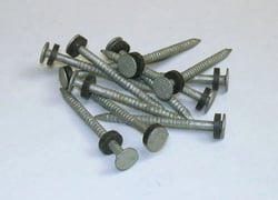 Picture of Taylor 2020108556 Galvanized #6 Nail with Washer 1/8 lb - 12 Pack