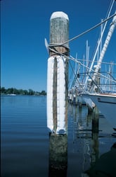 Picture of Taylor Made 2020108605 Large Premium Dock & Post Bumper White 5-3/4in x 50ft DB4.CU50