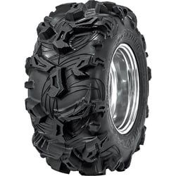 Picture of Maxxis M60 Tire
