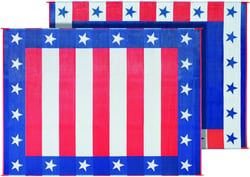 Picture of Faulkner 46502 Independence Day Reversible Patio Mat 8' x 20'