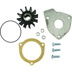 Picture of Sherwood Pump 12399-SHW Minor Repair Kit for Sea Water Pump G-30-2B
