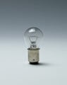 Picture of Champion 1076 Miniature Indicator Bulb 10-Pack