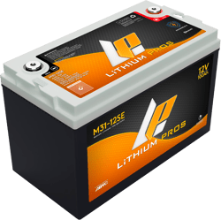 Picture of Lithium Pros M31-12SE 