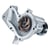 Water Pump and Related Components
