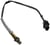 Oxygen Sensors