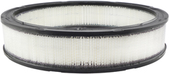 Picture of Baldwin PA2010 Axial Seal Air Filter Element