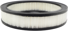 Picture of Baldwin PA2006 Axial Seal Air Filter Element