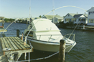 Monarch Mooring Whips 0 Mini Standard Duty Mooring Whip with Adjustable Base