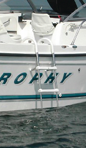 Windline TGL3 3 Step Gunwale Ladder