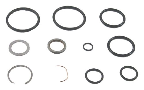 Sierra 18-2649 Power Trim Cylinder Seal Kit