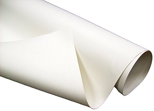 Lasalle Bristol 1700534142711435 XTRM-PLY 9.5' x 30' White PVC RV Roofing Membrane