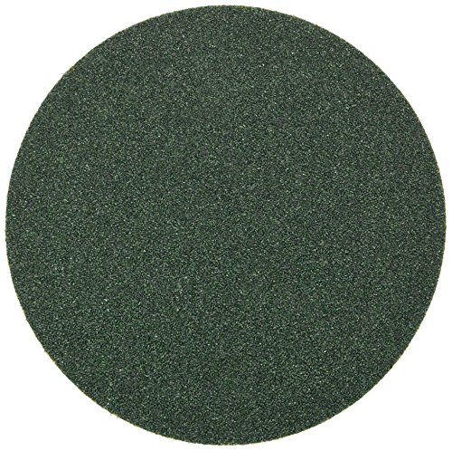 3M 00524 Green Corps Hookit 8" 40 Grit Regalite Sanding Disc