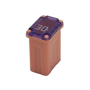 Bussmann FMM-30 30 Amp Micro Female Time Delay Fuse