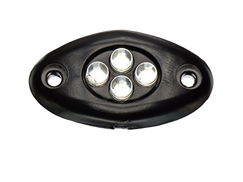 Innovative Lighting 004-2100-7 Surface Mount Courtesy Light Blue LED White Case