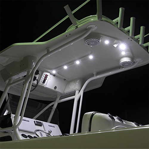 Lumitec 101288 CapriLT LED Flood Light White Non-Dimming 1000 Lumens