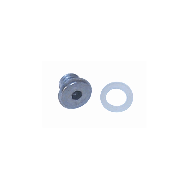 Sierra 18-4255 E-Tec Drain Screw for Johnson/Evinrude Outboards