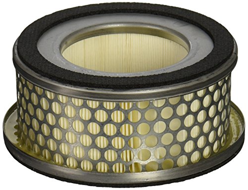 Picture of WIX Racing Filters WA10137 Heavy Duty Air Filter