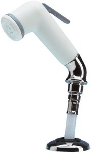 Whale Water Systems TB4172 Marine Shower Faucet with 6' Hose