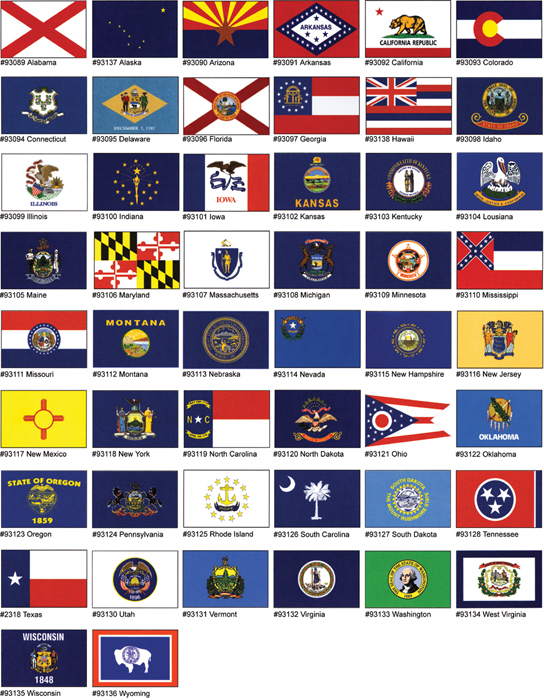 Taylor Made 93118 New York Flag 12x18