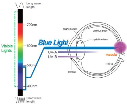 Marinco 701 Mini Battery Disconnect Switch 275A Marine