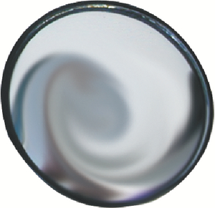 Prime Products 300010 Convex Spot Mirror 2''