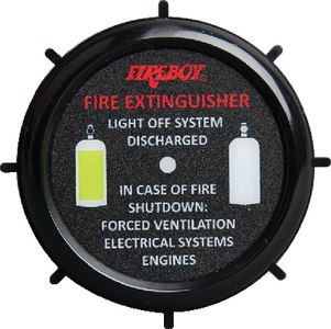 Fireboy DURBH01R Deluxe Discharge Alarm with Integrated Horn